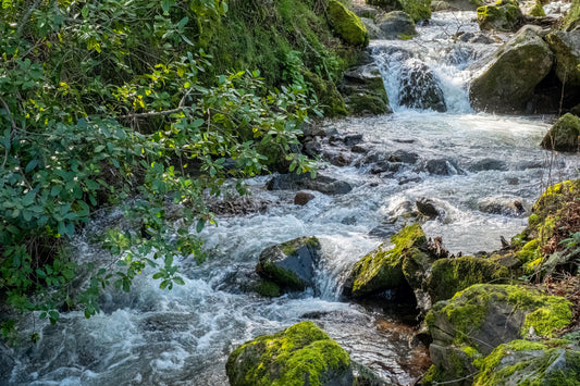 From Spring to Bottle: The Journey of Aquastar Natural Spring Water