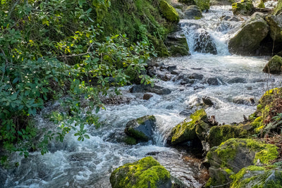 From Spring to Bottle: The Journey of Aquastar Natural Spring Water