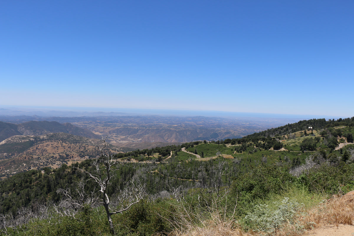 Forested slopes and distant hills viewed from Palomar Mountain, California.