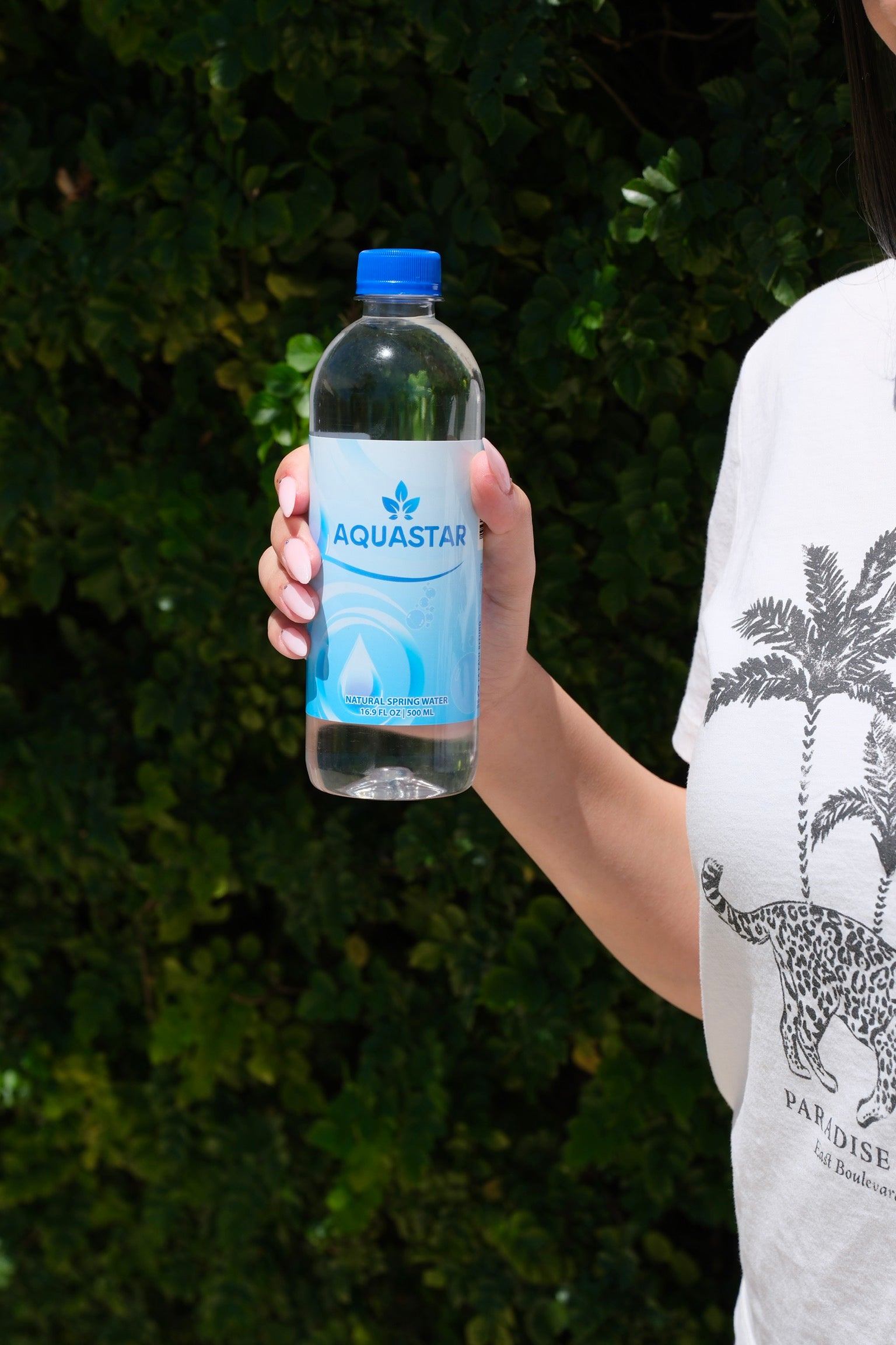 Aquastar Natural Spring Water - 24 Pack (16.9 fl oz) BPA-Free Plastic Bottles | Refreshing & Pure Spring Water - Aquastar 