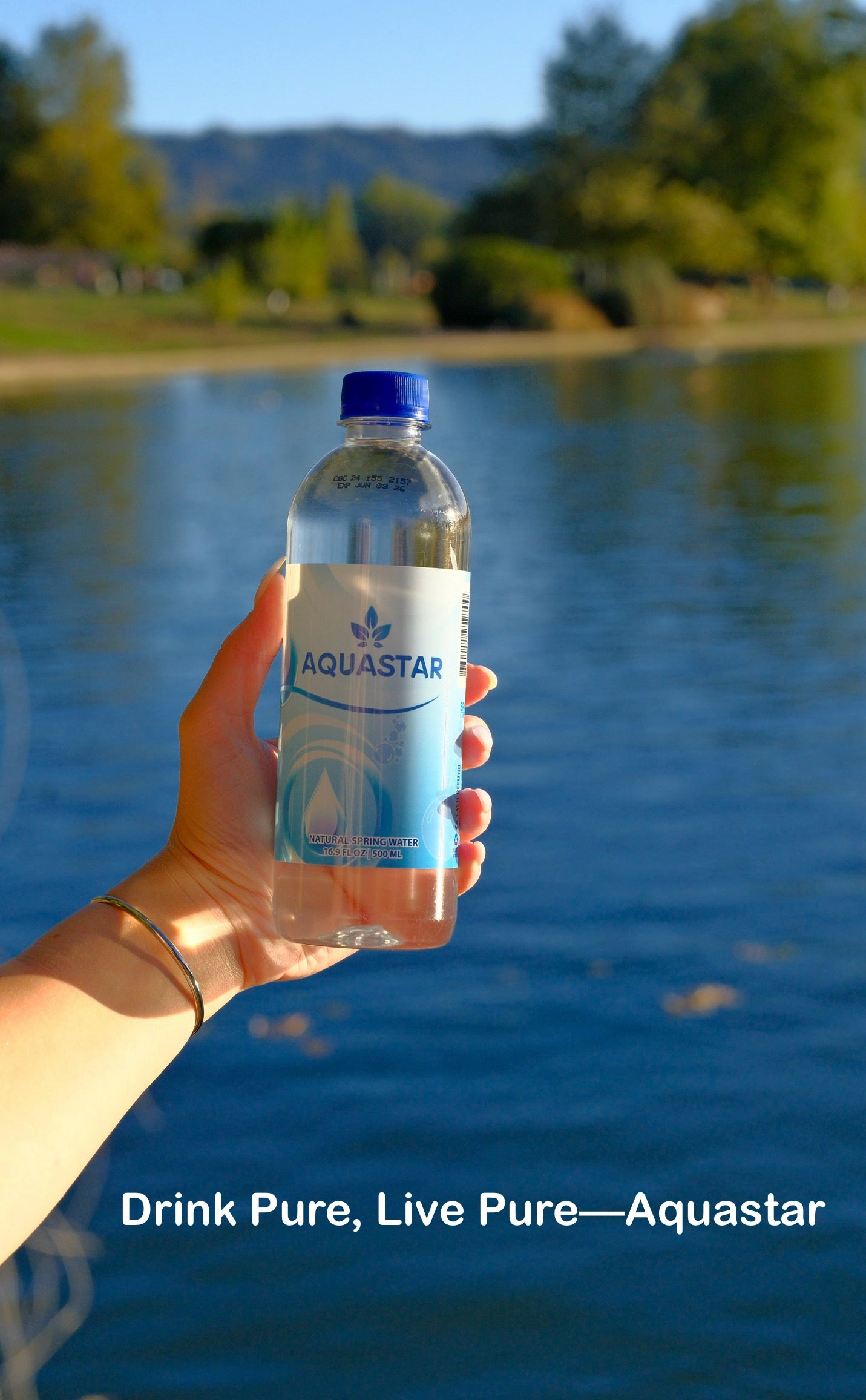Aquastar Natural Spring Water - 24 Pack (16.9 fl oz) BPA-Free Plastic Bottles | Refreshing & Pure Spring Water - Aquastar 