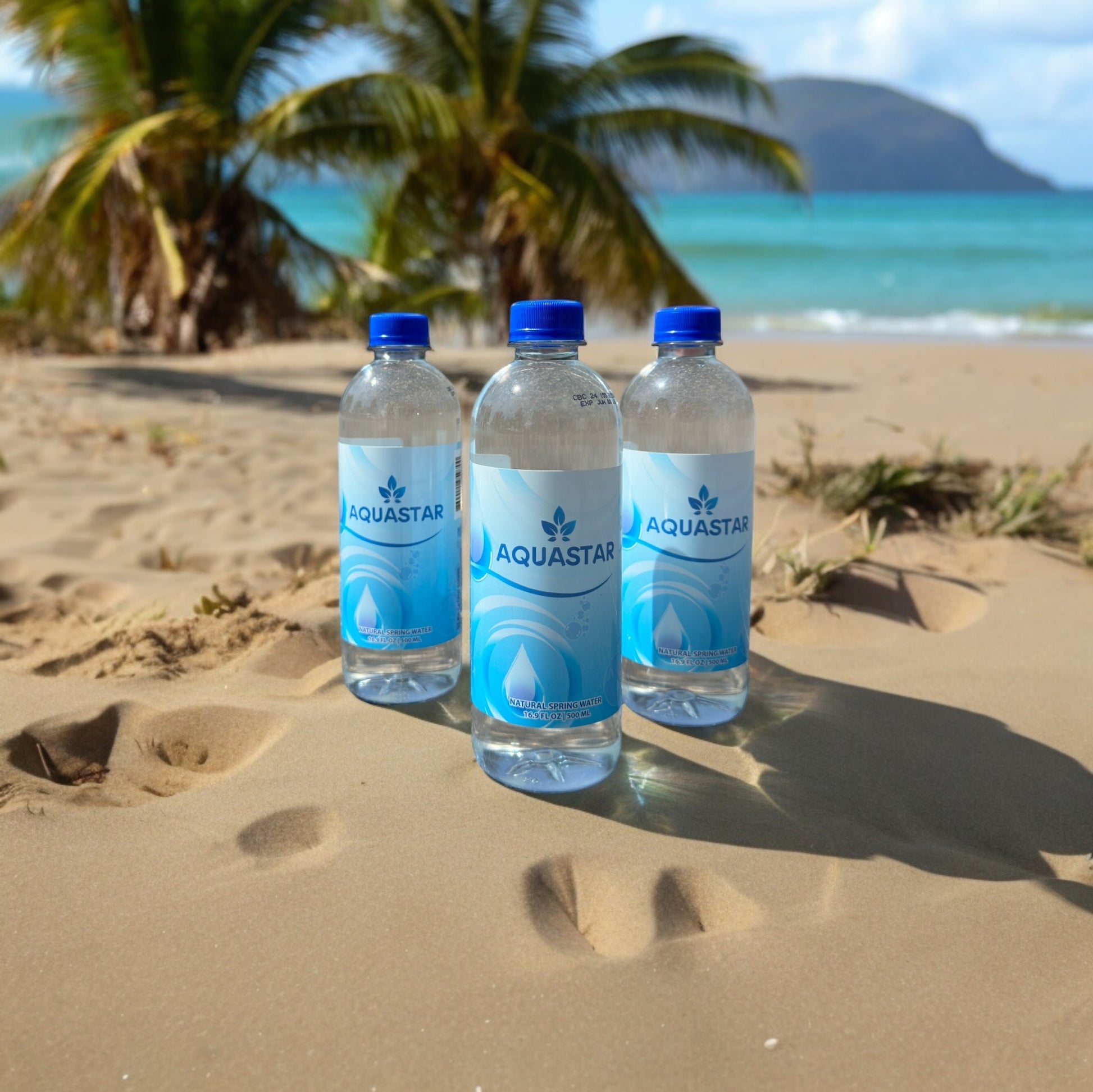 Aquastar Natural Spring Water - 24 Pack (16.9 fl oz) BPA-Free Plastic Bottles | Refreshing & Pure Spring Water - Aquastar 