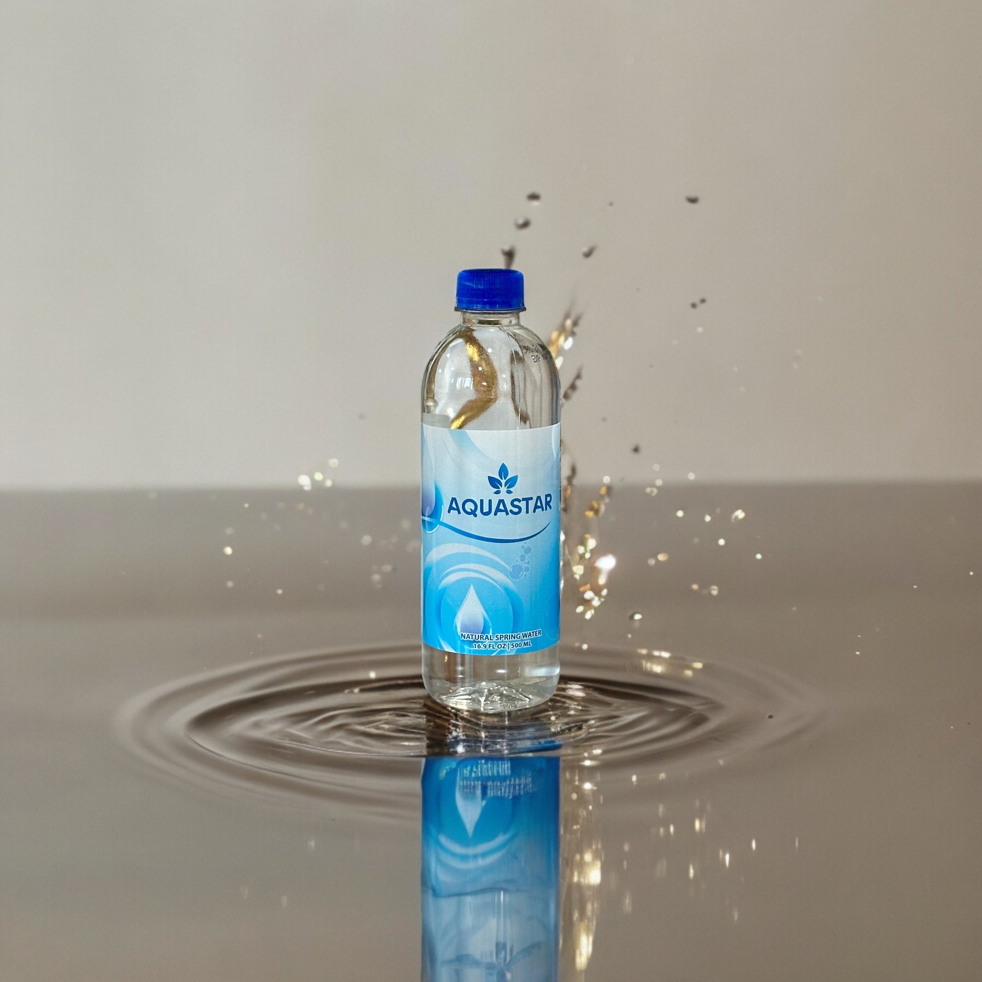 Aquastar Natural Spring Water - 12 Pack (16.9 fl oz) BPA-Free Plastic Bottles | Refreshing & Pure Spring Water - Aquastar 